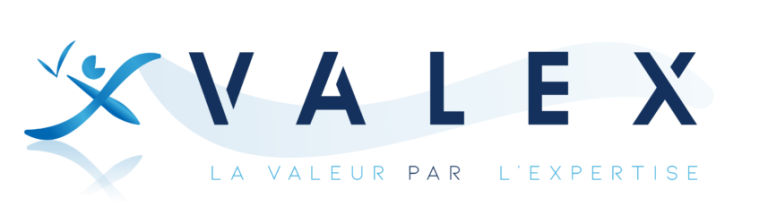 Valex Group Logo Transparent